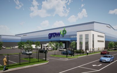 GrowUp Farms approved to quadruple salad production