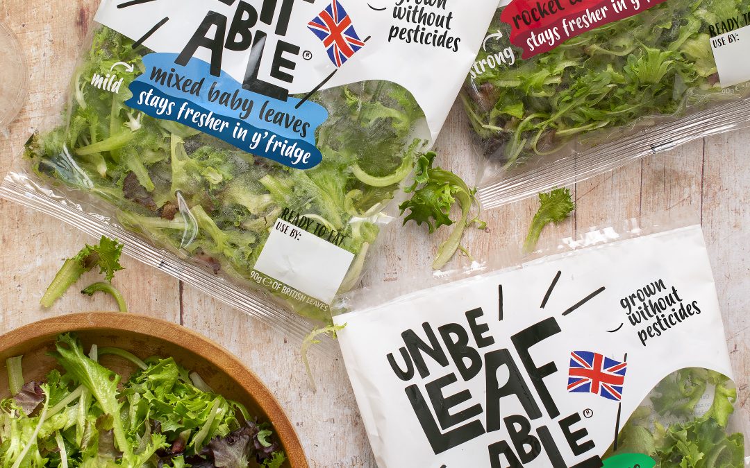 Leading vertical farm wins two accolades for new salad brands at food and drink industry’s top awards