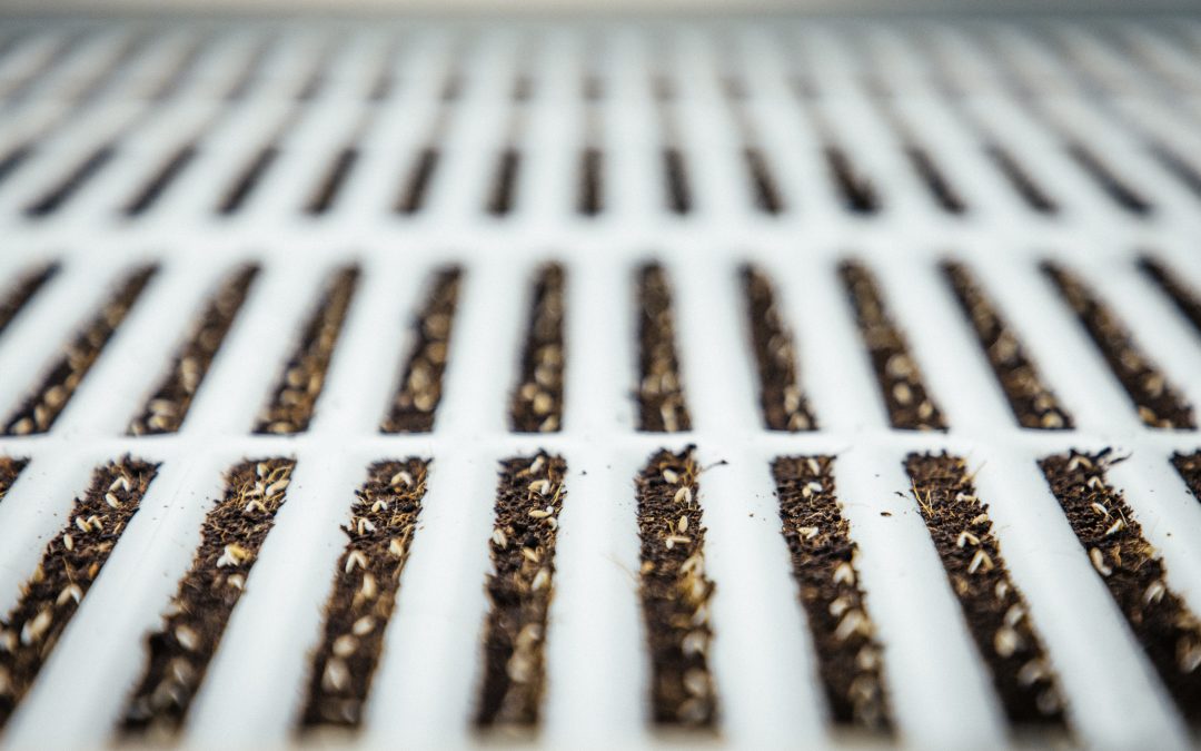 Unlocking the Potential of Agri-Tech in the UK