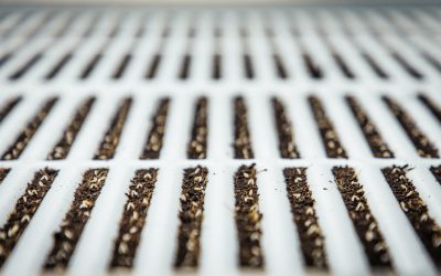 Unlocking the Potential of Agri-Tech in the UK