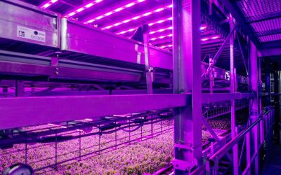 UK Government Recognises Agri-Tech as a Frontier Sector