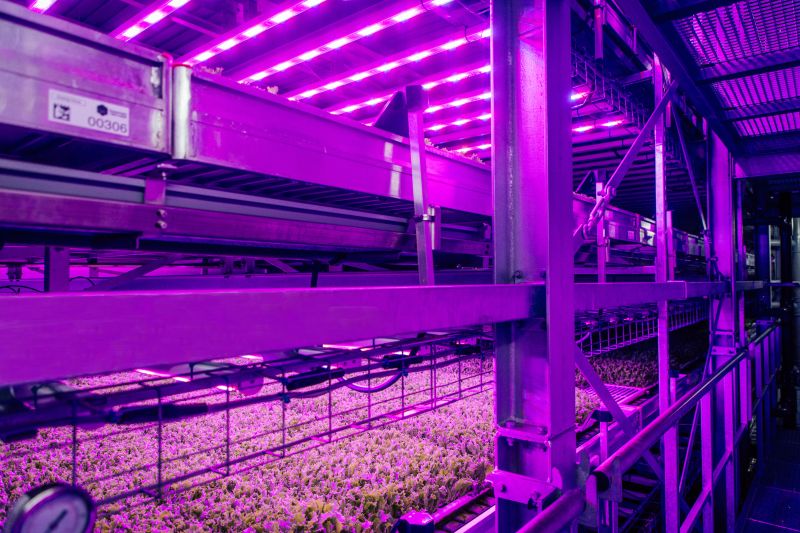 UK Government Recognises Agri-Tech as a Frontier Sector