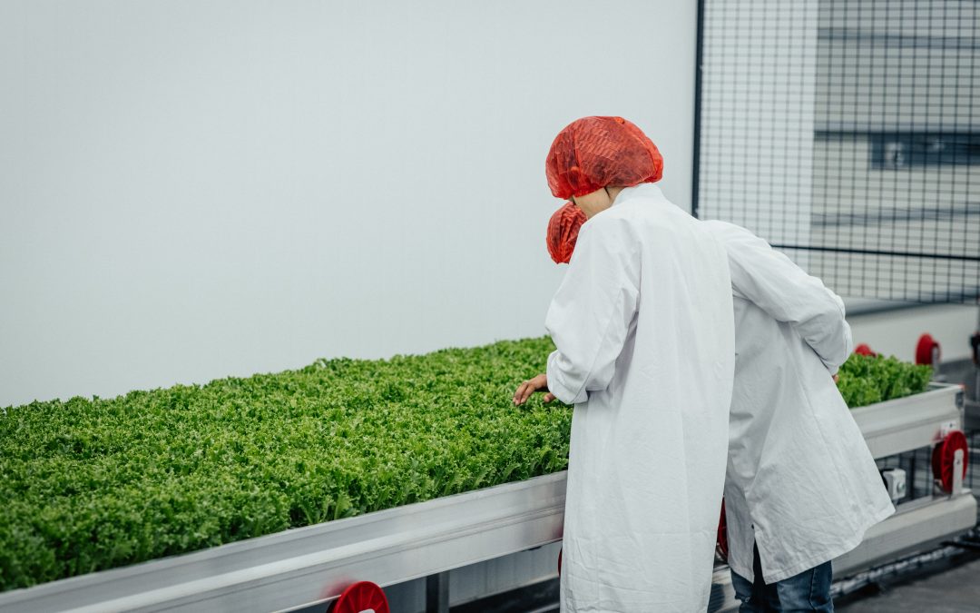 Unlocking the Potential of Agri-Tech in the UK